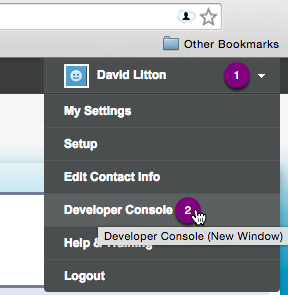 Navigate to the Developer Console