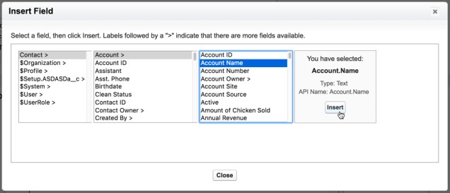 Navigating a Lookup Field.jpg
